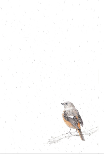 세밀화 이미지
